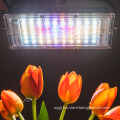 150w Plant Factory Farming led grow light